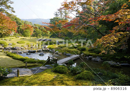 庭園と紅葉 8906316