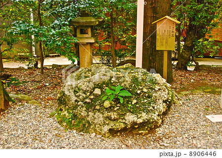 さざれ石 猿田彦神社 三重県伊勢市宇治浦田 の写真素材