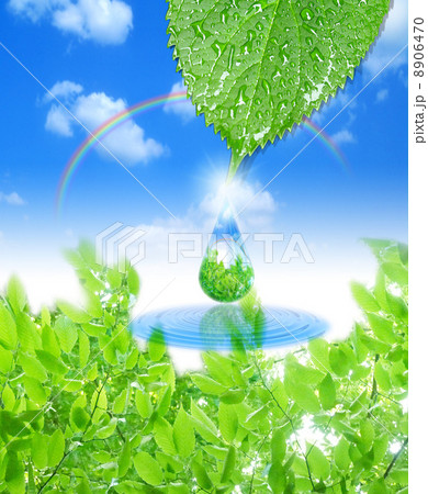 1枚の葉っぱからエコの雫が 1枚の葉っぱからエコの雫が 8906470