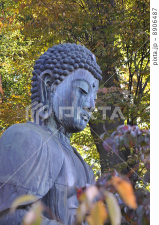 中山法華経寺 8906487