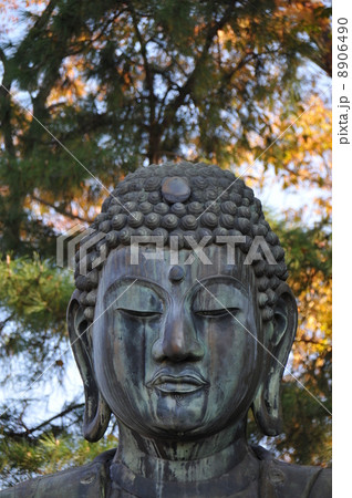 中山法華経寺 中山法華経寺 8906490