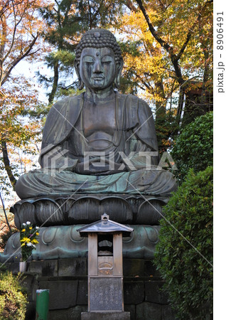 中山法華経寺 8906491