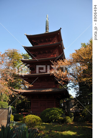 中山法華経寺 8906494