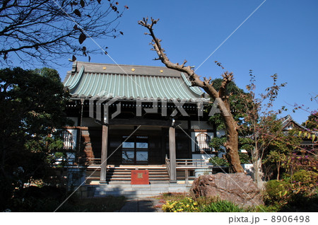 中山法華経寺 中山法華経寺 8906498