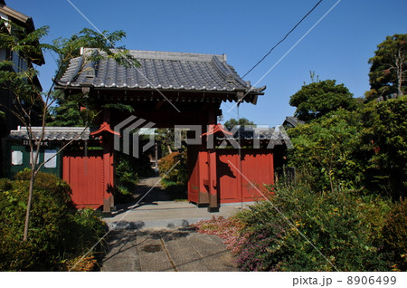 中山法華経寺 中山法華経寺 8906499