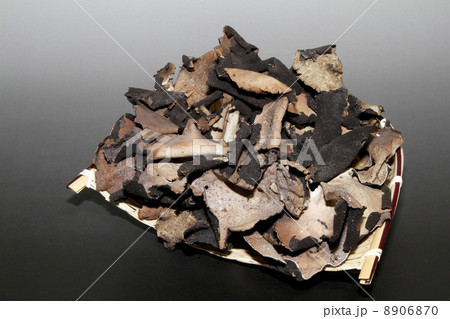 岩茸 岩茸 8906870