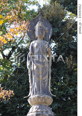 中山法華経寺 中山法華経寺 8906982