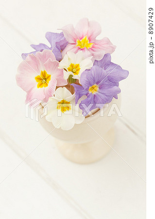 spring flowers 8907429
