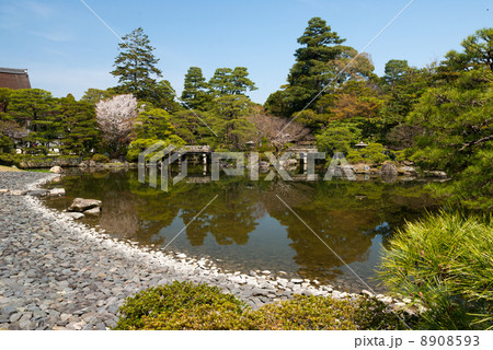 京都御所　御池庭 8908593