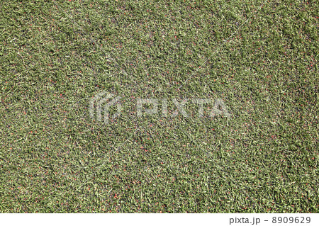 fake grass background 8909629