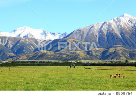 southern alps in New Zealand 8909764