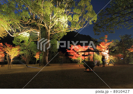 白水阿弥陀堂 8910427