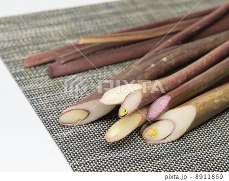 里芋の葉柄の芋茎 里芋の葉柄の芋茎 8911869