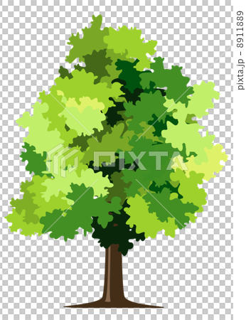 wood wood 8911889