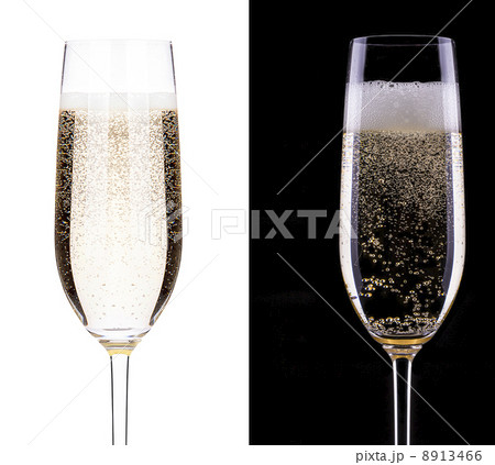 glass of champagne on a black and white glass of champagne on a black and white 8913466