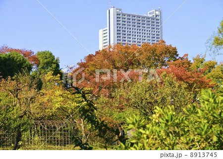 初冬の向島百花園 8913745
