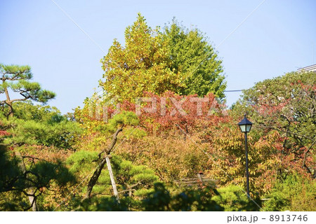 初冬の向島百花園 8913746