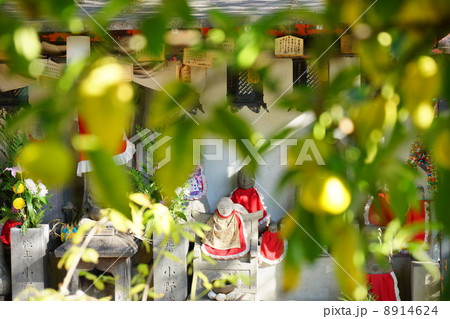 お地蔵さんとユズの実 8914624