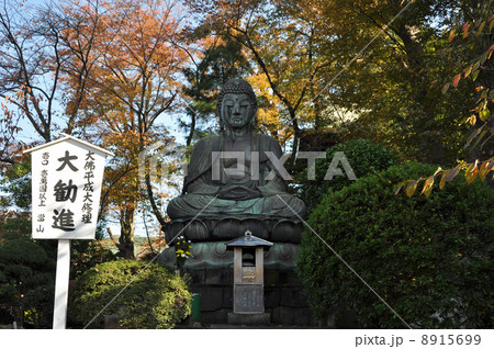 中山鬼子母神　大佛 8915699