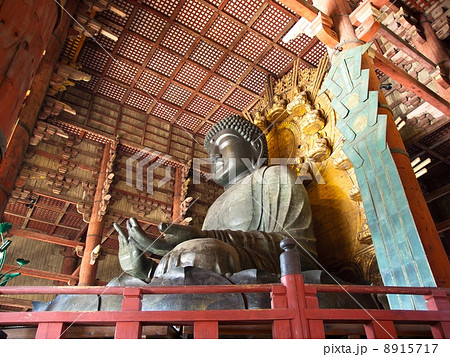 奈良の大仏 8915717