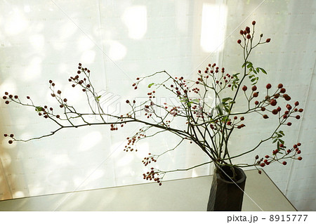 野バラの実を生ける 8915777