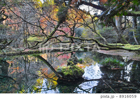 山吹水源 8916059