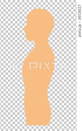 人の上半身 人の上半身 8918027