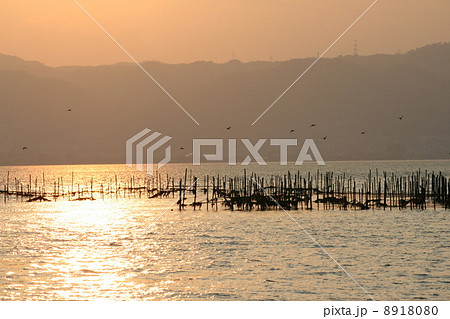 夕焼け琵琶湖 8918080