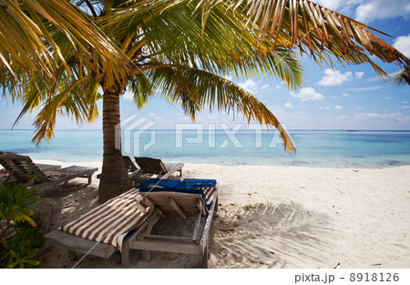 Maldives 8918126