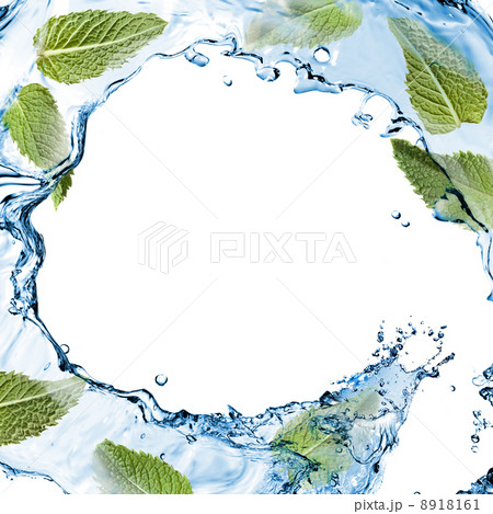 water splash with green mint isolated on white water splash with green mint isolated on white 8918161