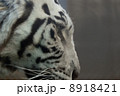 眼差し 8918421