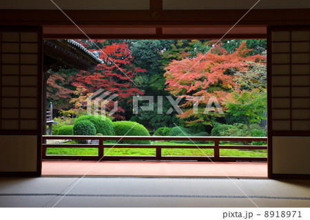 秋の隨心院門跡 秋の隨心院門跡 8918971