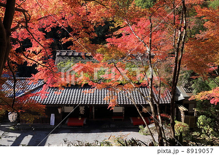 鳥居本の鮎茶屋 鳥居本の鮎茶屋 8919057