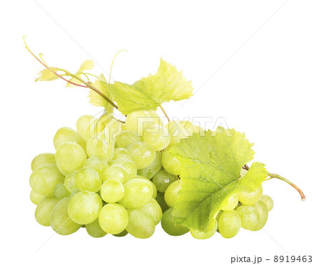 white grape isolated 8919463