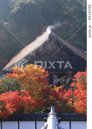 秋の南禅寺 水煙舞う天授庵 秋の南禅寺 水煙舞う天授庵 8919486