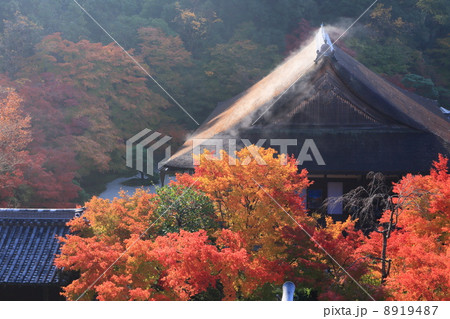 秋の南禅寺　水煙舞う天授庵 8919487
