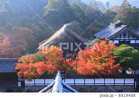 秋の南禅寺 水煙舞う天授庵 秋の南禅寺 水煙舞う天授庵 8919488