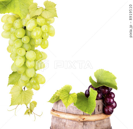 grapes and wooden vintage barrel grapes and wooden vintage barrel 8919510