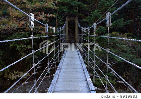大台ケ原、シオカラ谷の吊り橋 8919883