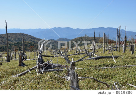 大台ケ原の正木峠 大台ケ原の正木峠 8919886