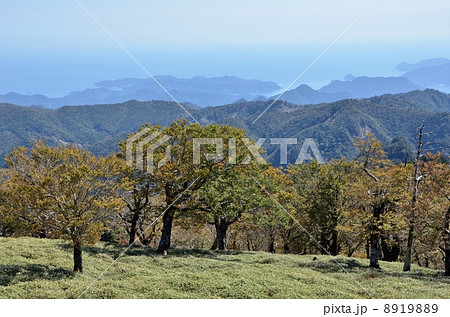 大台ケ原山と熊野灘 大台ケ原山と熊野灘 8919889