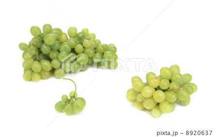 Branches of green ripe grapes. Branches of green ripe grapes. 8920637