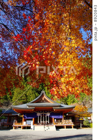 金櫻神社 金櫻神社 8920843