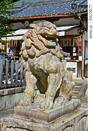 狛犬(阿形像)（熊野若王子神社(若王子神社)／京都市左京区若王子町） 8920877