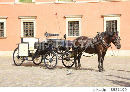 馬車　（ポーランド・ワルシャワの旧市街） 8921199