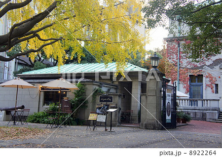 晩秋の開港広場 8922264