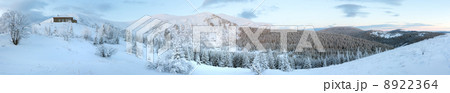 Morning predawn winter mountain panorama (Carpathian, Ukraine). 8922364