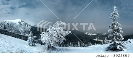 Night winter mountain landscape in full moon moonlight 8922369