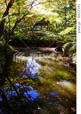 六義園 六義園 8922391