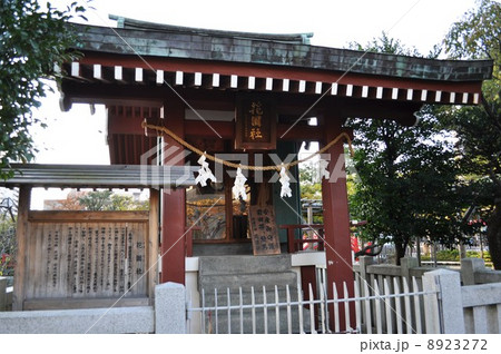 亀戸天神 亀戸天神 8923272